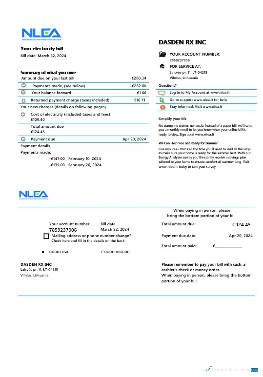 Lithuania National Lithuanian Energy Association business utility bill Word and PDF template